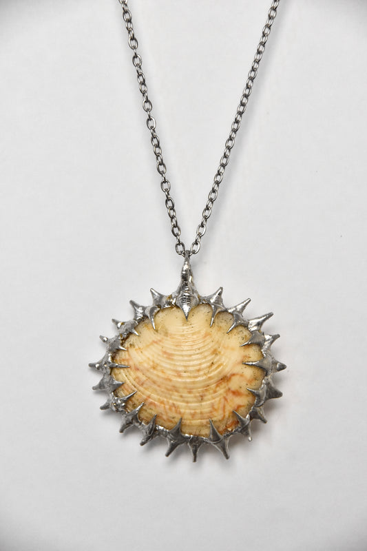 Spiky ZigZag Shell Necklace